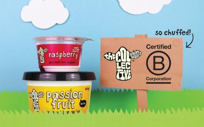 The Collective B Corp certified – #WhatBrandsDo